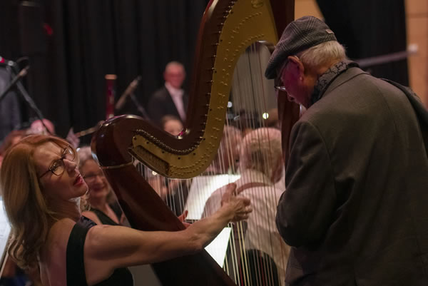 lismore_symphony_orchestra_proms1 An orchestra member playing the harp mid-concert